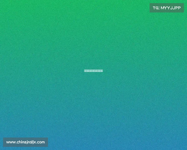 新款帕萨特是电子档的吗？